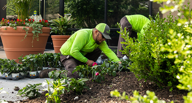 landscape-maintenance1